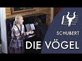 Schubert die vgel the birds op 172 no 6 piia komsi  kristoffer gylling