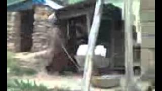 Laz Kızı Süper Söylüyor Harika Klipler Süper Müzikler Mehmet Ali̇ Arslan Videos