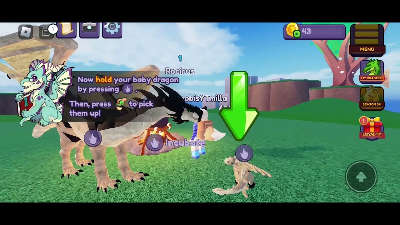 roblox Dexyn dragon adventures fantasy pets