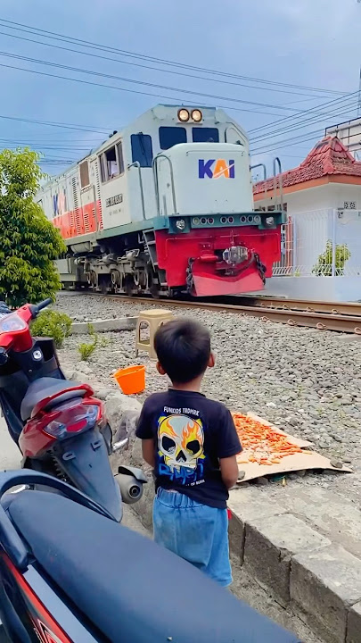 Waiting for the train to pass #shorts