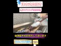 それいけ大志丸【津本式血抜き】#short