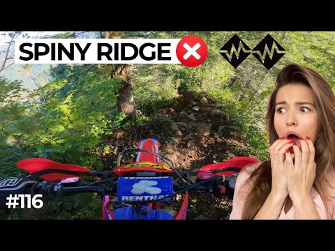 Spiny Ridge #116 (Part 1) - Diamond Mill OHV | Tillamook State Forest ...