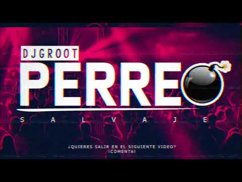 Mix Perreo Salvaje - OldSchool🔥Mix Reggaeton Antiguo | @EdwinAliaga - DJ GROOT