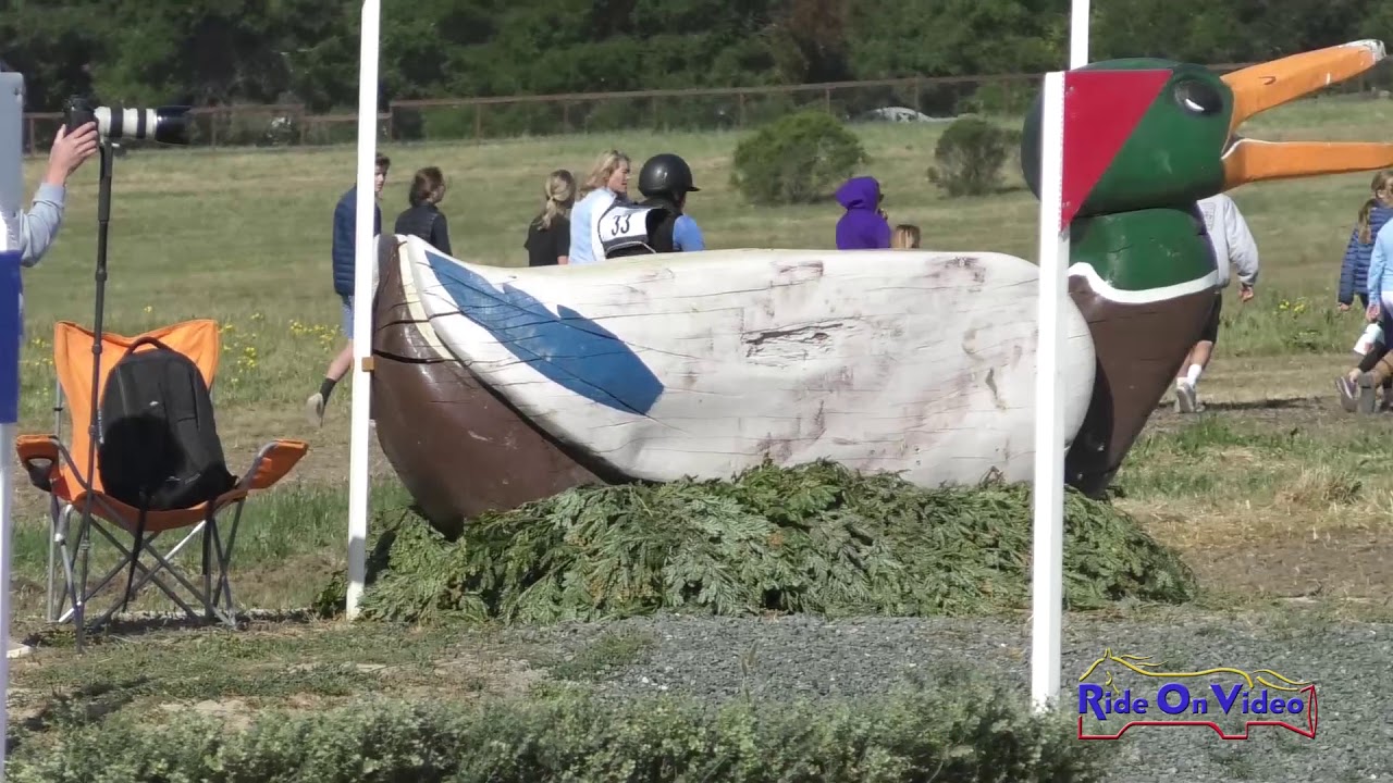 horseshoe bend 033XC Maya Clarkson on Sweeps Crystal Cruise Preliminary Challenge Cross Country Woodside May 2019