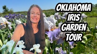 Random Okie Farms Bearded Iris Garden: A breathtaking experience