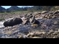 Santa Monica Mountains Trail River / Waterfall / Running Water / Creek (camera 1)