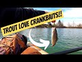 TROUT LOVE CRANKBAITS!?!? (Catch and Cook)