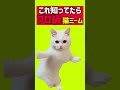 これ知ってる人いる?ダンス猫ミームmeme! #shorts