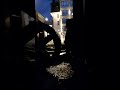 Фонтан "Мельницы" в городе Зеленоградске