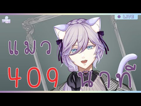 แมว 409 นาที