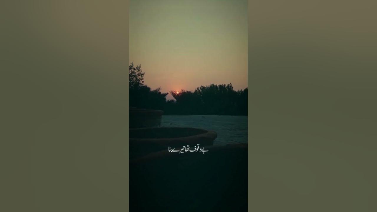 12 November 2022 Best Status forever In Evening status shorts 