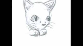 Squirrelpaw & Brambleclaw: Big Eyes