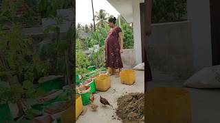 വിശേഷങ്ങൾ പറഞ്ഞട്ട് തീരണില്ല 🤭.... #trendingshorts #explorepage #vlog #pregnancy #friends
