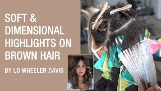 Soft & Dimensional Highlights On Brown Hair | Smokey Ashy Brunette | Kenra Color screenshot 2