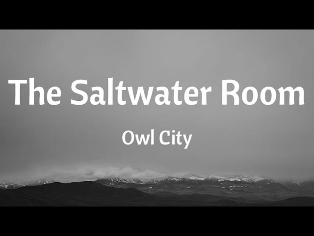 Owl City - The Saltwater Room (Lyrics) class=