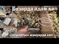 ИТ ҚҰС ҚОЯН БАЛАПАН / КӨШЕТ БАҒАЛАРЫ 25.04.2021