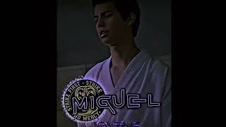 Miguel S1 Vs Hawk S1 Wis