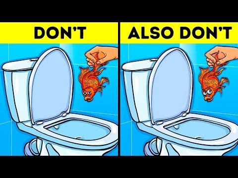 12 Things You Should Never Flush Down the Toilet