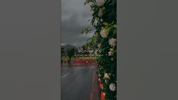 سورة القصص، للقارئ عبد البديع غيلان 💜 (وابتغِ فيما آتاك الله الدار الآخرة)#قرآن #اسلام #shortvideo #