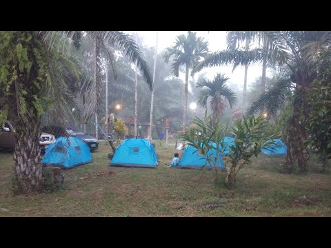 เล่นน้ำคลอง. ชมหมอก น้ำเย็นมาก รีสอร์ทที่พังงา