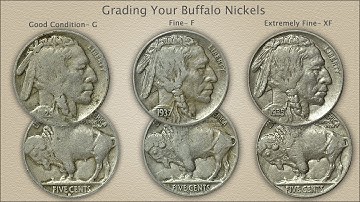 Grading Buffalo Nickels