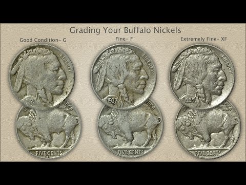 Grading Buffalo Nickels