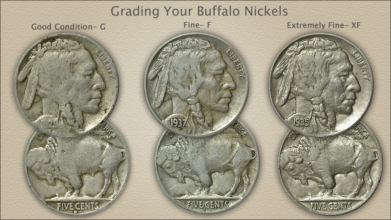 No-Date Buffalo Nickels: How to Find Their Value