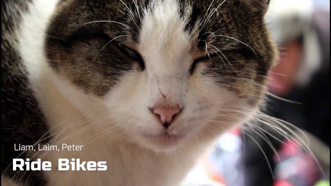 Liam, Liam, Peter; Ride Bikes