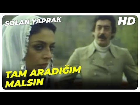 Zerrin Egeliler - Tam aradığım malsın