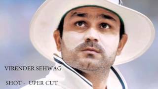 Cricket top 10 signature shots of players SachinTendulkar MSdhoni Virenders