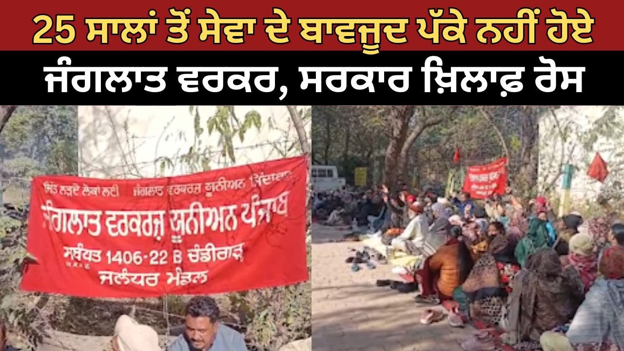 25 ਸਾਲਾਂ ਤੋਂ ਸੇਵਾ ਦੇ ਬਾਵਜੂਦ ਪੱਕੇ ਨਹੀਂ ਹੋਏ ਜੰਗਲਾਤ ਵਰਕਰ, ਸਰਕਾਰ ਖ਼ਿਲਾਫ਼ ਰੋਸ