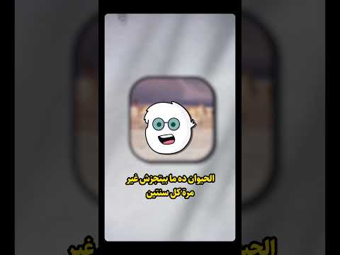 اغلي قماش في العالم قماش معلومات      مصر الامارات