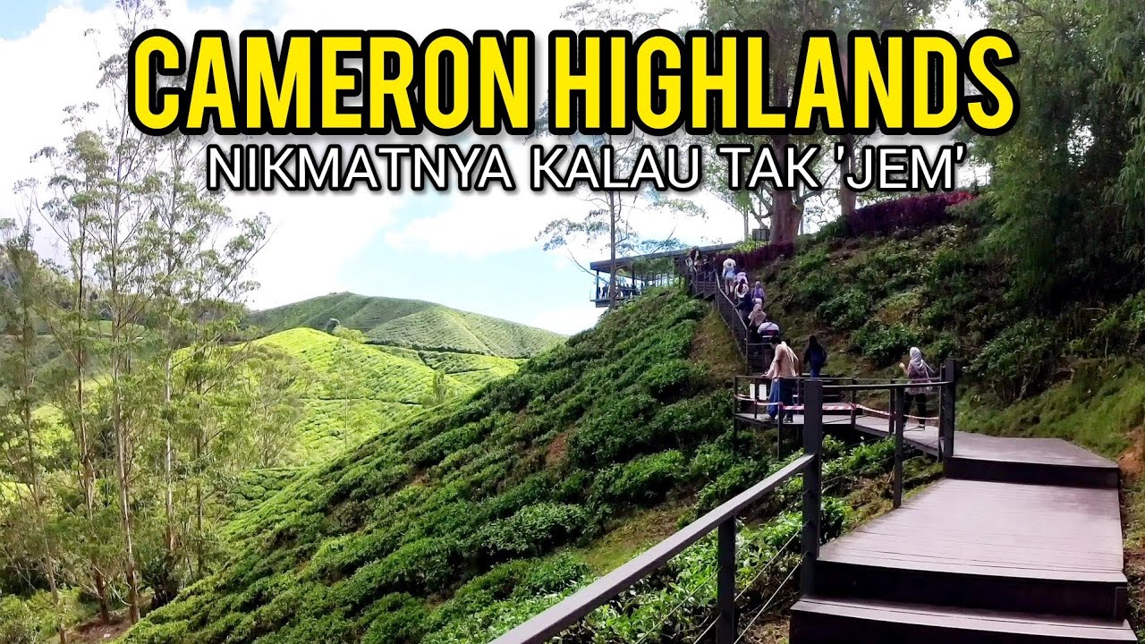 CAMERON HIGHLANDS : TEMPAT WAJIB LAWAT WALAUPUN SELALU SESAK!