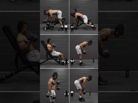 dumbbell back +