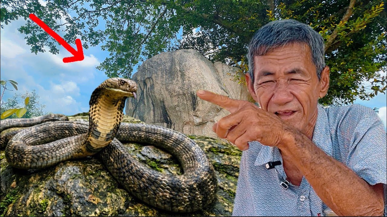 Thật hư chuyện thầy bùa bắt Vong nhập bỏ Hủ và chuyện dùng bùa phép bắt rắn hổ mây qua lời kể Anh 2 