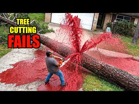 Idiots With Chainsaws: Tree Cutting Fails | Extreme Dangerous Logging Truck Fails #96