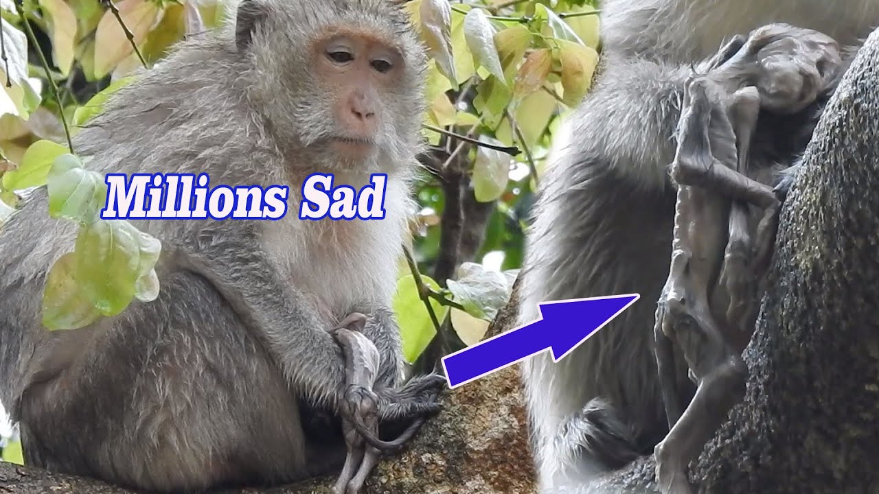 Millions sad Clip..!! Breaking heart, Poor mom Can't do any thing during Mourning Her baby Pass away