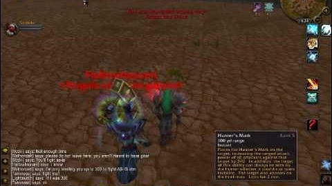 Awesome WoW private server! 3.0.9. Wrath!