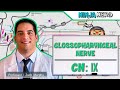 Neurology | Glossopharyngeal Nerve | Cranial Nerve IX