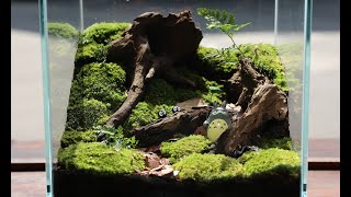 이끼 낀 숲 속 토토로 테라리움 | Totoro Terrarium in a Mossy Forest