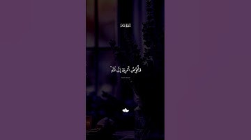 قران كريم راحة نفسية #اكسبلور #المصحف #راحة #لايك #قران_كريم #vairal