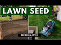 How to grow a lawn from grass seed before  after