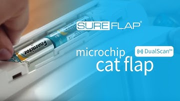 Replacing the batteries on your SureFlap DualScan Microchip Cat Flap
