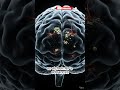 Alzheimer’s Disease Explained in 3D | What Happens Inside the Brain