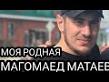 Магомед Матаев "Моя родная"