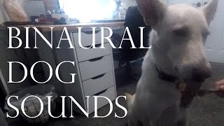 Binaural Dog Chewing and Licking Sounds - (Binaural/3D Sounds/Good Boy) screenshot 5