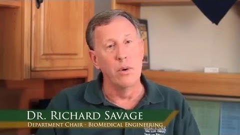 Biomedical Engineering Faculty