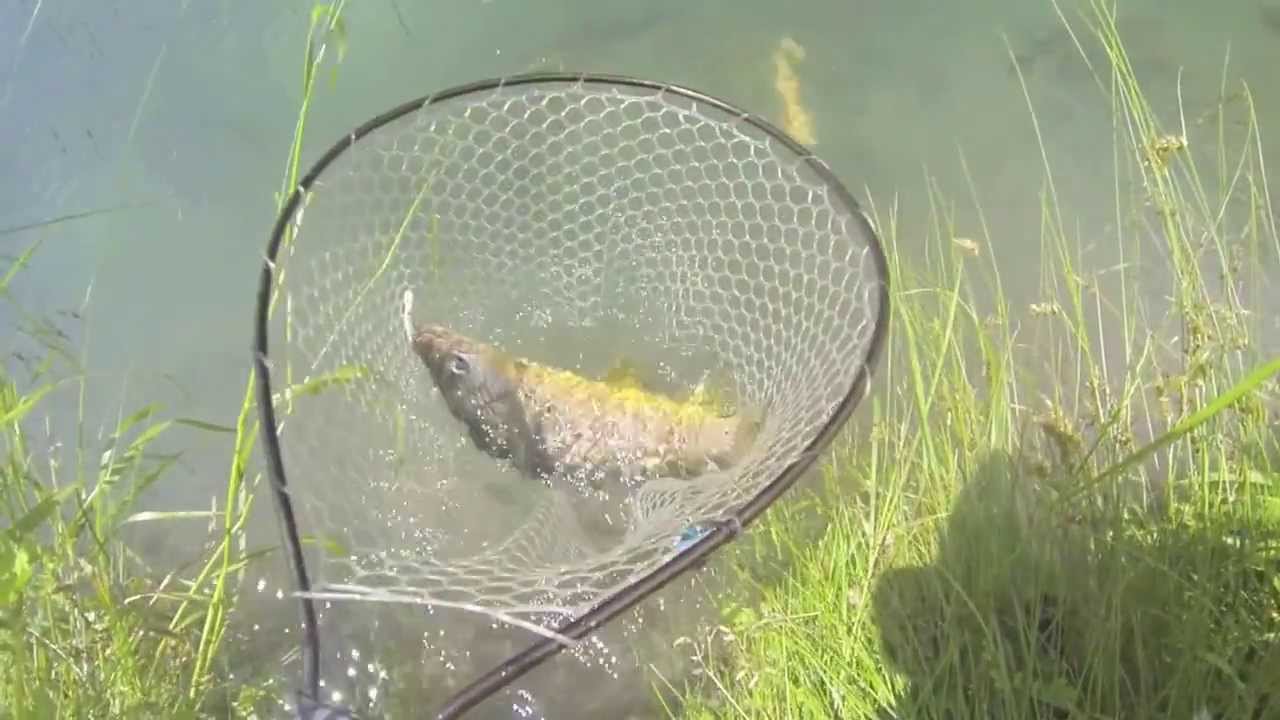 M.A.Tオリジナル ZAGGER BONE 50S!