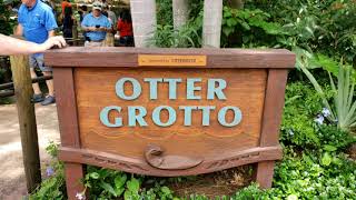 Otter Grotto At Disneys Animal Kingdom