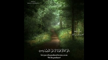 أجمل حالات واتس اب قرآن كريم جديد بصوت إدريس أبكر #قناة_نخوة_للفوائد